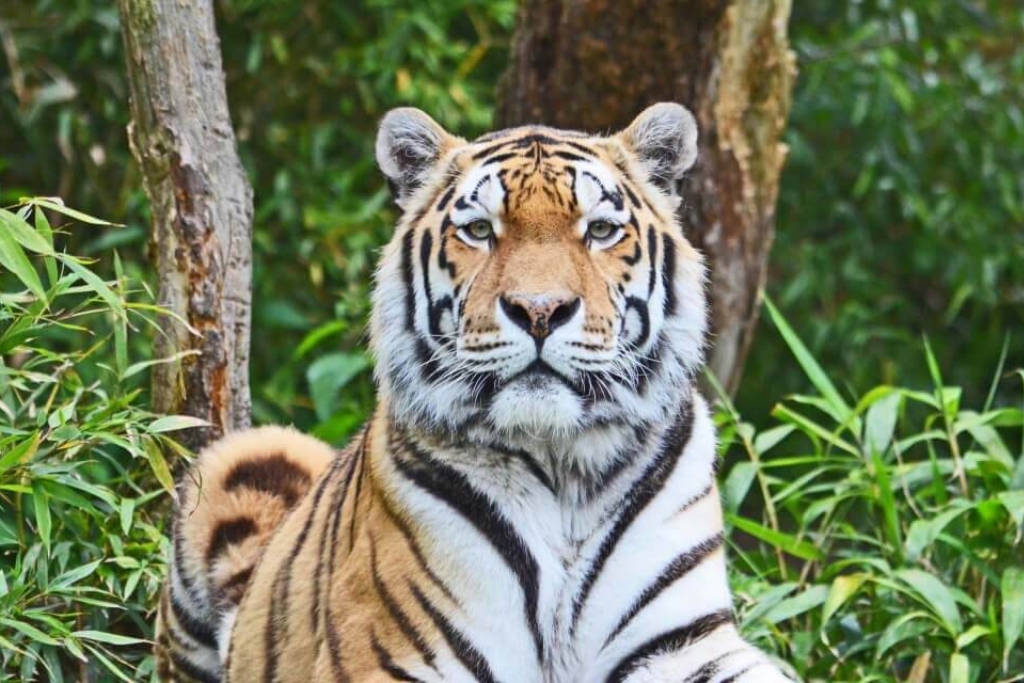 Private Guided Safaris