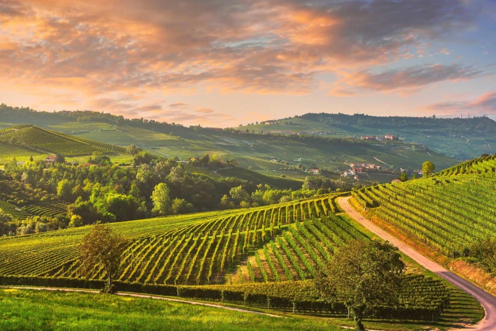 Tailor-Made Itineraries